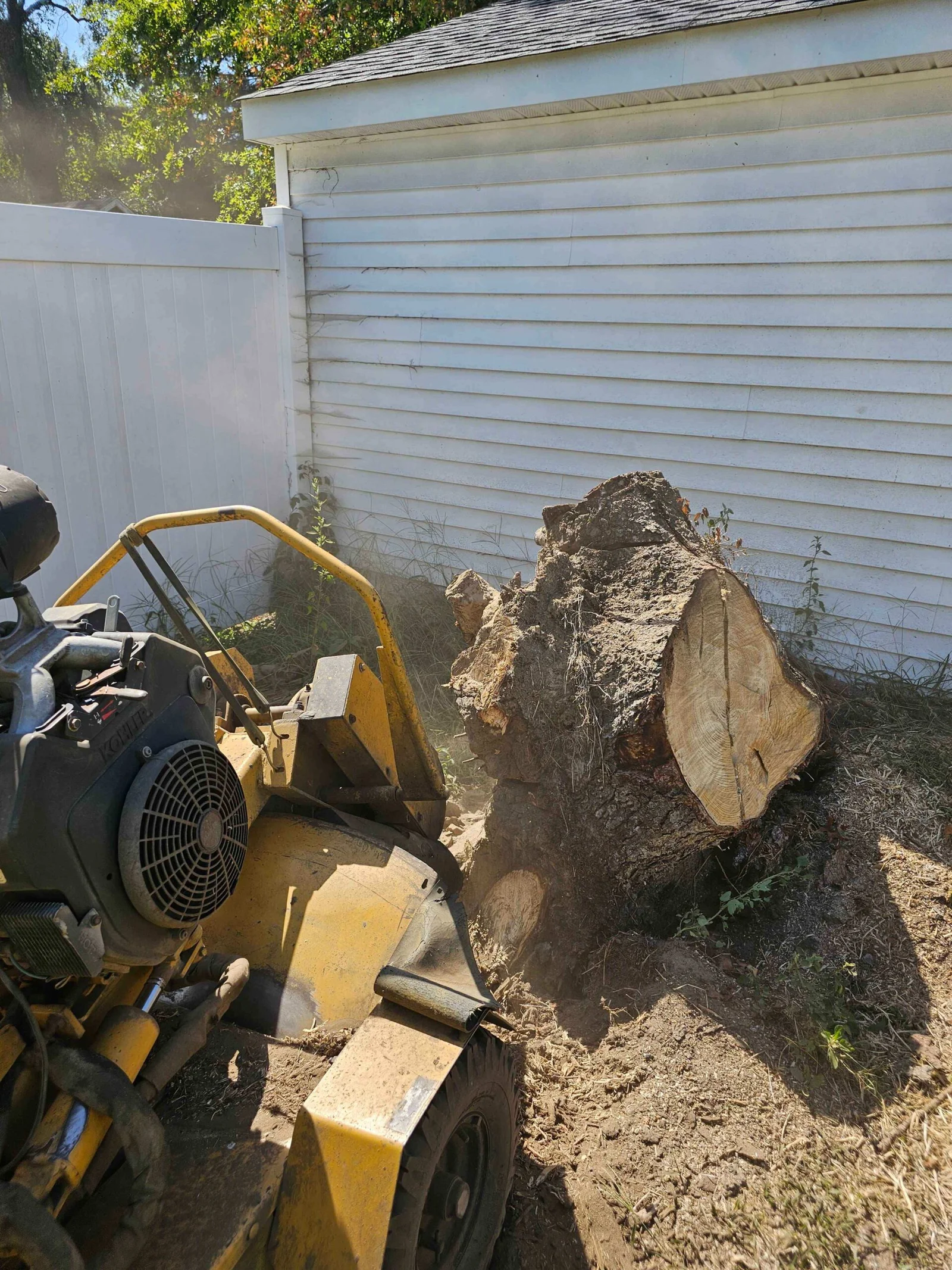 FT Tree Service completed job 4 in South Jersey