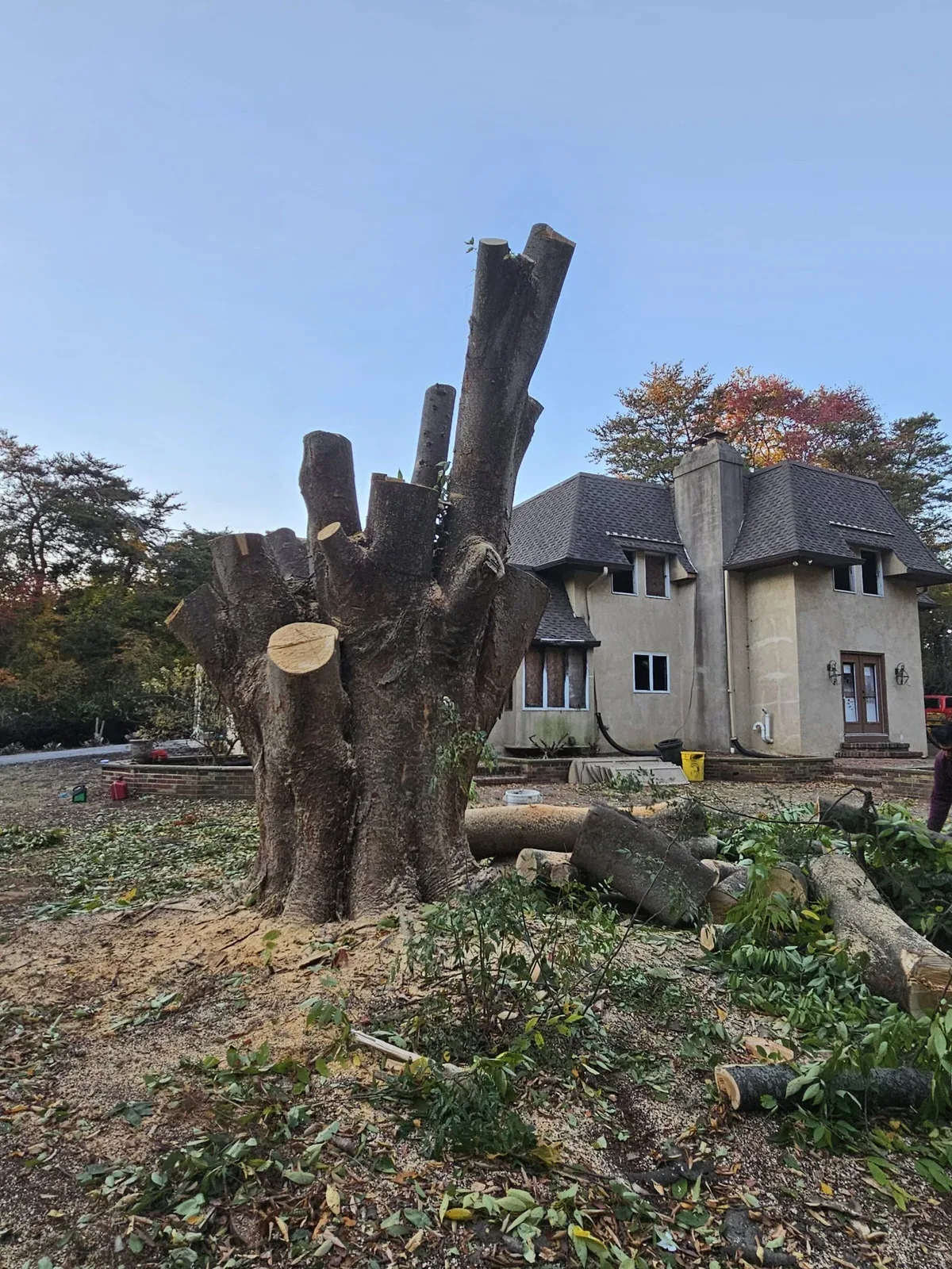 FT Tree Service completed job 5 in South Jersey