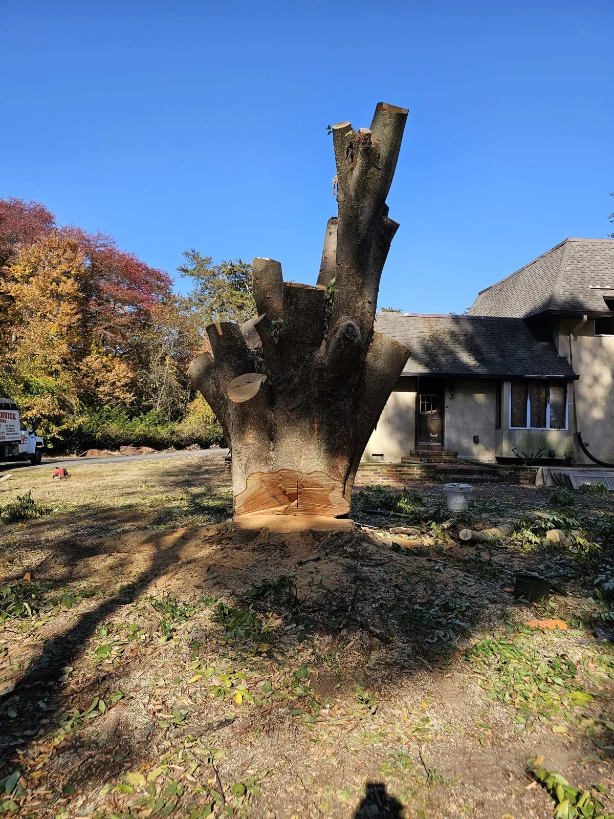 FT Tree Service completed job 6 in South Jersey