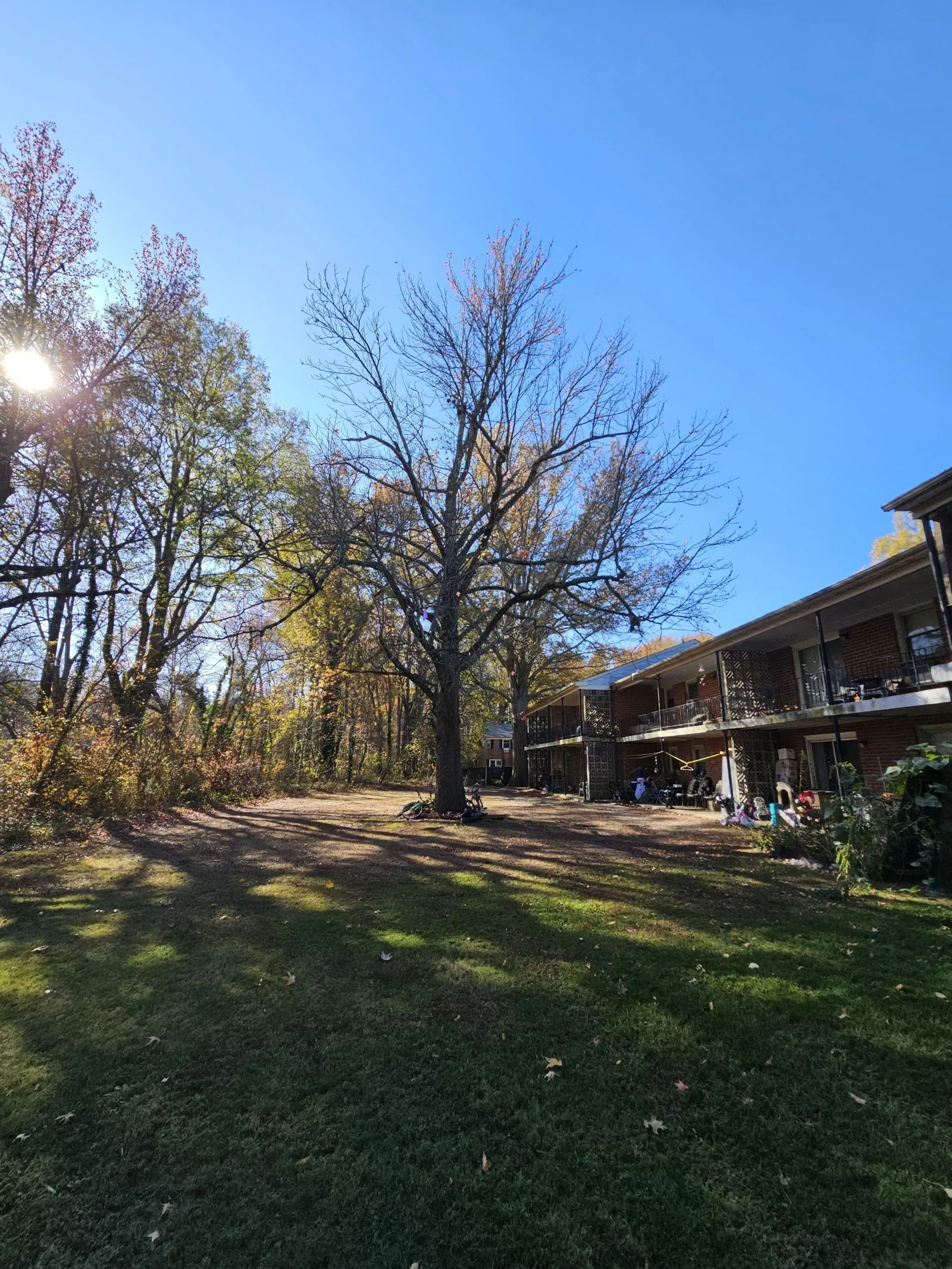 FT Tree Service completed job 8 in South Jersey