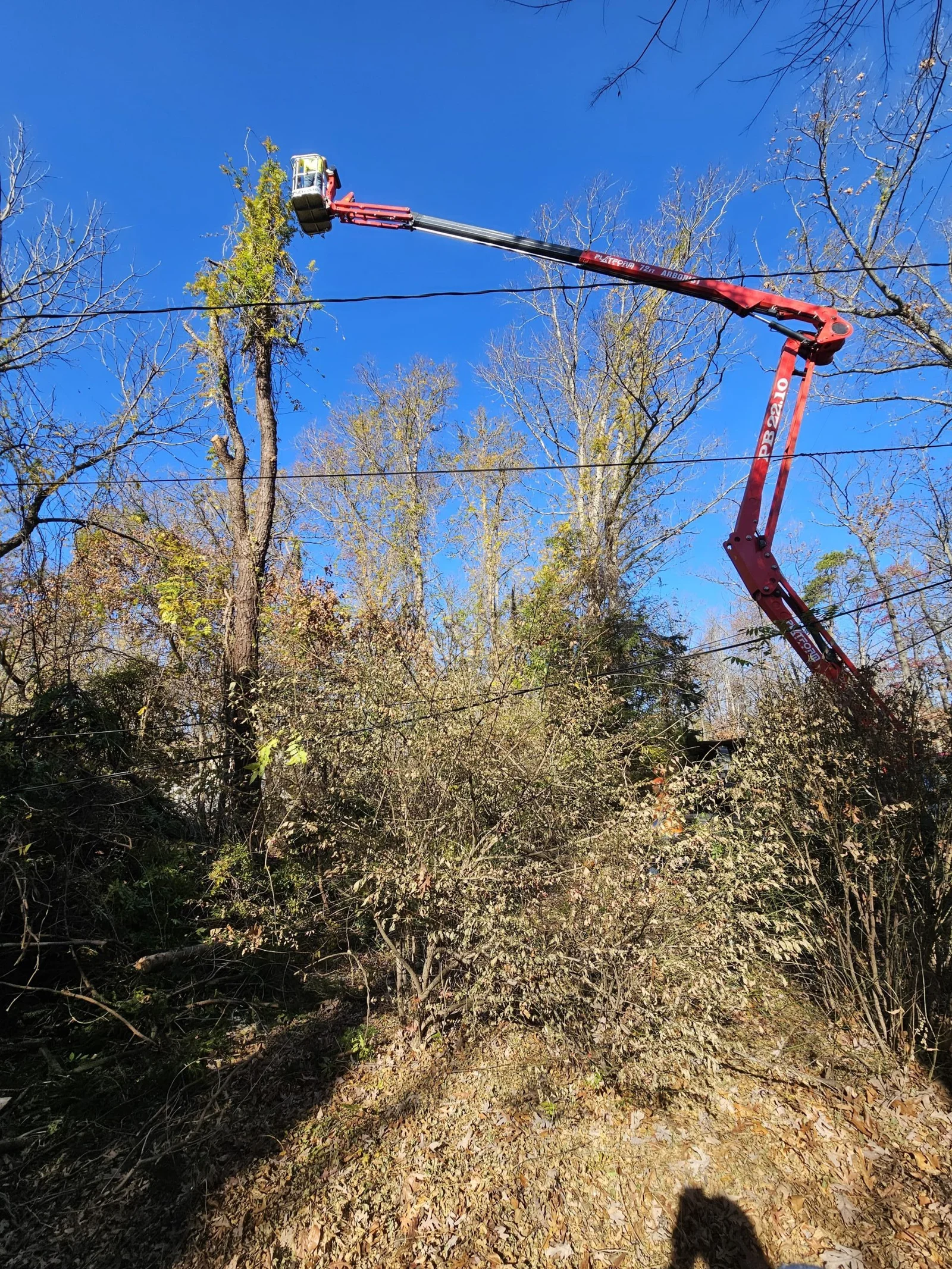 FT Tree Service completed job 9 in South Jersey