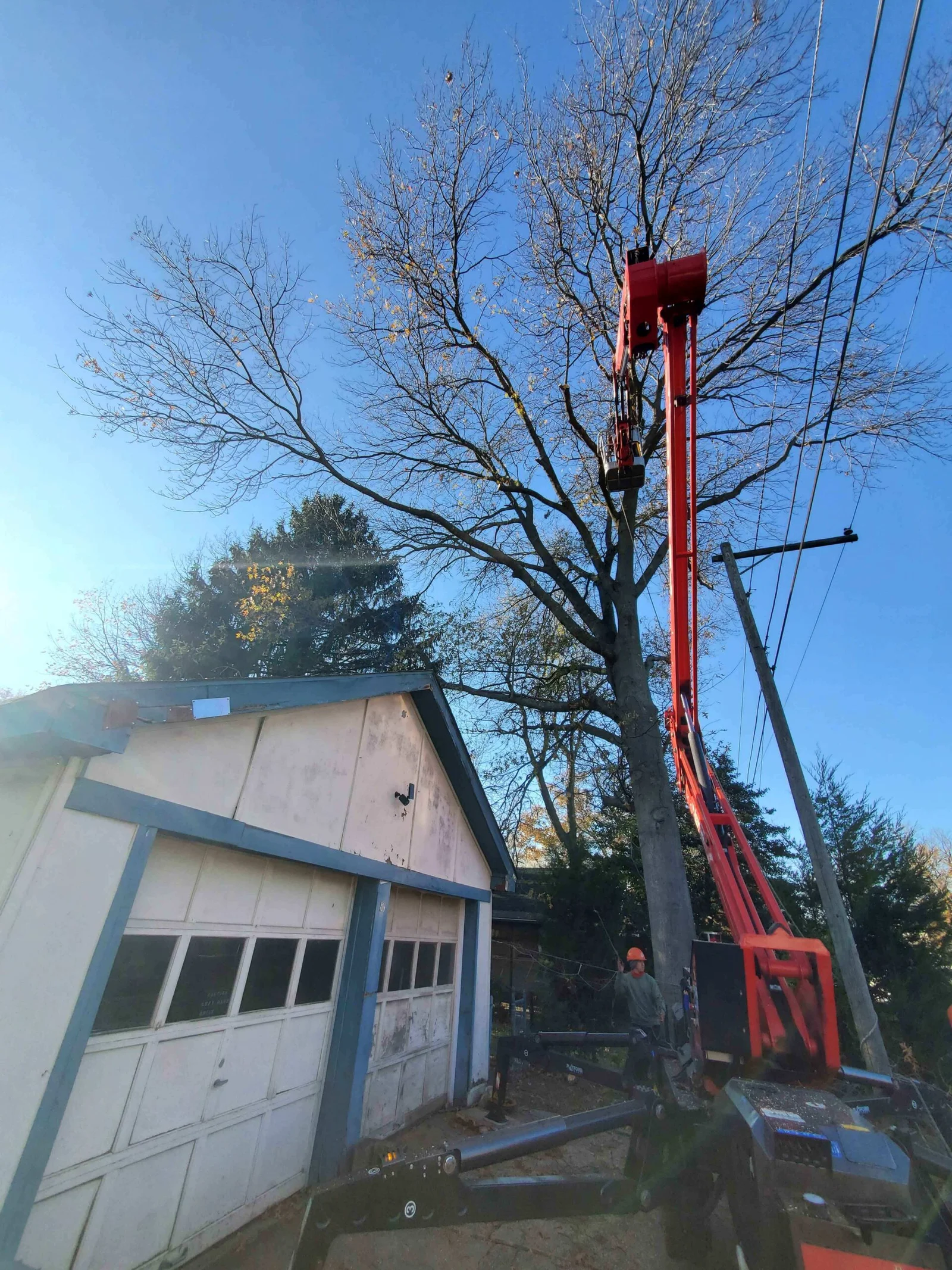 FT Tree Service completed job 11 in South Jersey