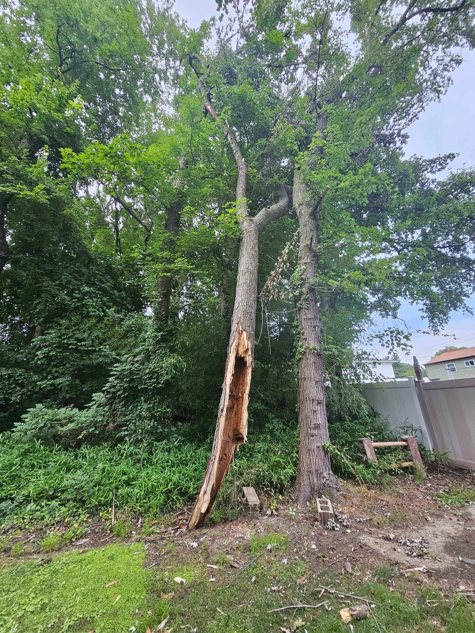 Storm Damage Cleanup in South Jersey by FT Tree Service