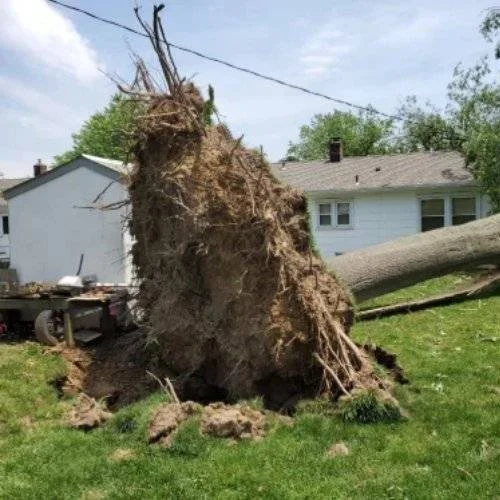 Emergency Tree Service in South Jersey by FT Tree Service