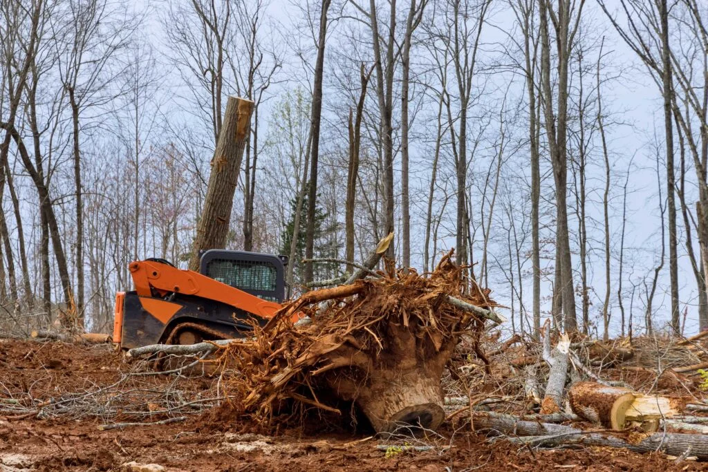 Lot Clearing & Land Preparation in South Jersey by FT Tree Service