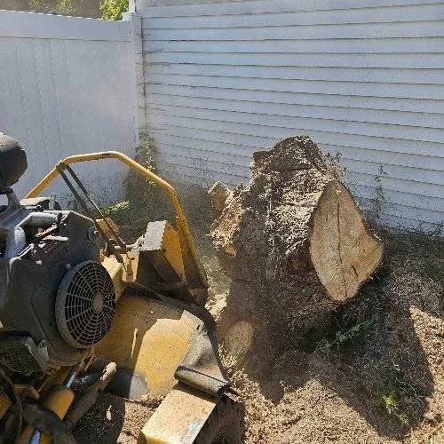 Stump Grinding in South Jersey by FT Tree Service