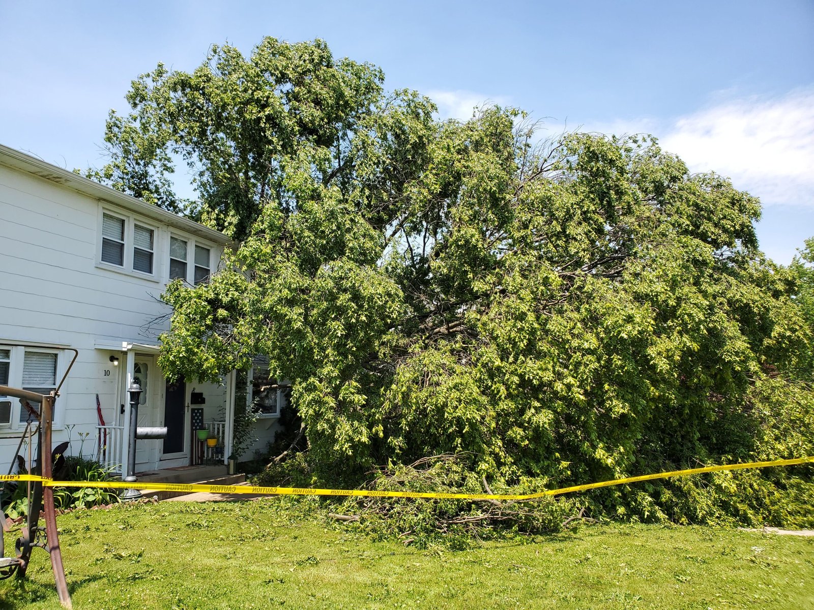 Tree is damage
