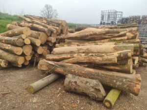 Ft Tree Services expert tree removal showcasing recent tree care projects, including stump grinding, in Gloucester, NJ.