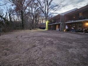 Tree removal project by Ft Tree Services, showcasing expert tree care and stump grinding in Gloucester County, NJ.