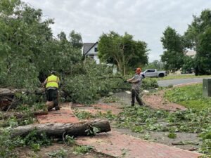 recent work, stormdamage at fvc