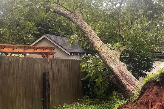 dangerous-leaning-tree-emergency-removal-alpharetta-ga