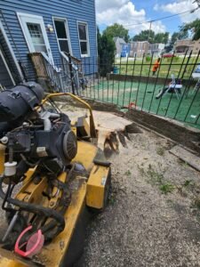 Tree removal project by Ft Tree Services, highlighting expertise in Gloucester NJ with professional care and precision.