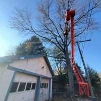 Tree removal service in progress with a worker in a lift, safely trimming branches near power lines, showcasing FT Tree Service's expertise in hazardous tree management.