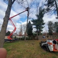 Tree removal equipment in action, with a lift trimming branches from a tall tree and a bobcat positioned nearby, showcasing FT Tree Service's lot clearing expertise in Gloucester and Camden Counties.