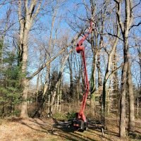 Tree removal equipment in action, clearing branches from tall trees in a wooded area, showcasing FT Tree Service's lot clearing capabilities for residential and commercial properties.