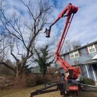 Tree removal in progress using a red aerial lift, with a technician working on a large tree near a residential home, showcasing FT Tree Service's lot clearing capabilities.