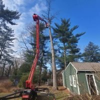 Tree removal in progress with a cherry picker near a residential property, showcasing FT Tree Service's lot clearing expertise in Gloucester and Camden Counties.