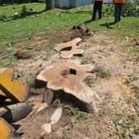 Stump grinding in progress with professional equipment, showcasing removed tree stump and debris, workers in safety gear, and a clean yard prepared for landscaping.