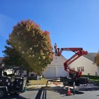 Tree removal in progress with a worker using a cherry picker, vibrant autumn foliage, residential setting, FT Tree Service equipment and safety cones visible.